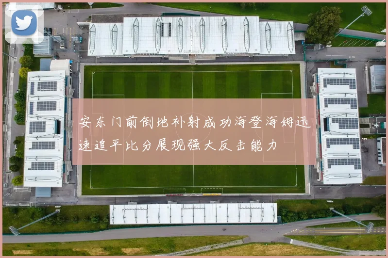 安东门前倒地补射成功海登海姆迅速追平比分展现强大反击能力